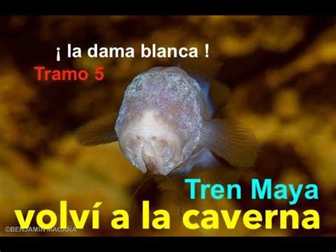 Volv A La Caverna Dama Blanca Debajo Del Tren Maya Youtube