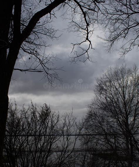 Autumn Sky Naked Stock Photo Image Of Branches Winter