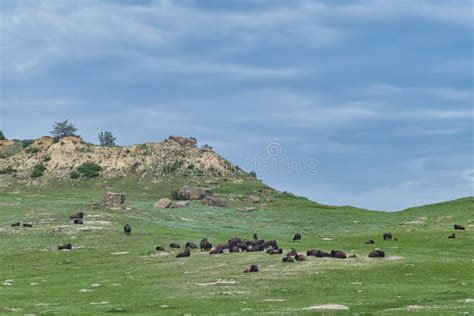 Theodore Roosevelt National Park North Dakota Is Where The Great