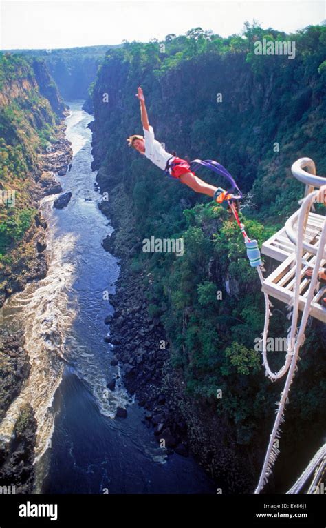 Bungee Jumping At Victoria Falls Bridge Over The Zambezi River Images