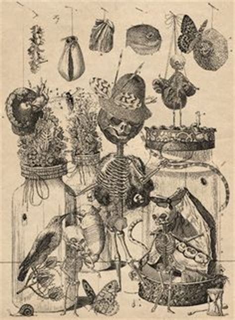 25 Frederik Ruysch Ideas Art Morbid Scientific Illustration