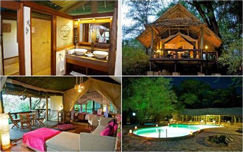 Best Safari Camps And Lodges In Samburu National Reserve