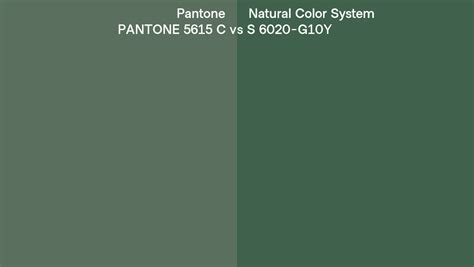 Pantone 5615 C Vs Natural Color System S 6020 G10Y Side By Side Comparison