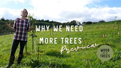 Preview Why Should We Plant More Trees Youtube