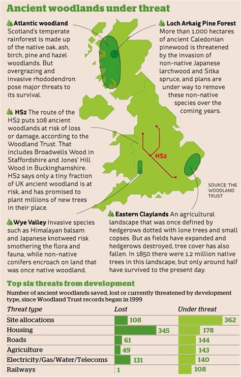 Felling Disease Pollution And Climate Change Pushing Uk Woodland To