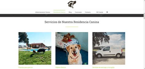 Mejores Residencias Caninas De Madrid Junio