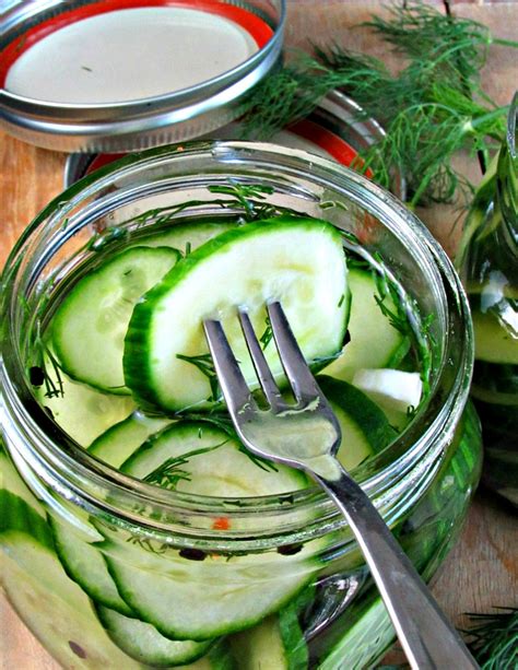 Refrigerator Dill Pickles Easy 5 Minute Recipe A Gouda Life