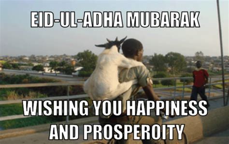 Some Eid Ul Adha Bakra Eid Memes Angry Pakistani Blogger