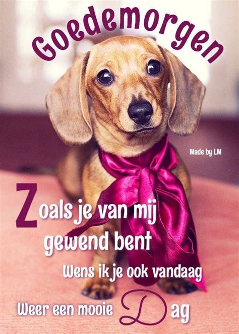 Pin Van Rachel De Op Mooie Woorden Goedemorgen Grappig