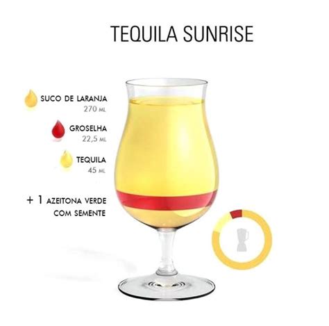 GUIA ILUSTRADO APRENDA A PREPARAR OS 20 MELHORES DRINKS Piña colada