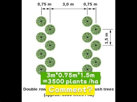 Comment R Ussir Le Calcul De Densit Dans Un Piquetage En Quinconce