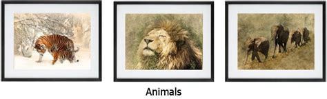 Framed Printswildlife Framed Printsframed Wall Art Prints
