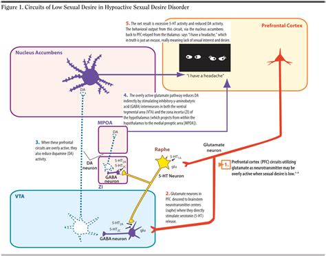 Overcoming Ssni Induced Sexual Dysfunction Sale