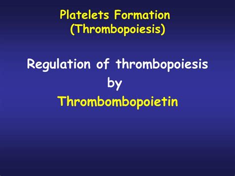 PPT - PLATELETS (PLT) Thrombocytes PowerPoint Presentation, free download - ID:6638596