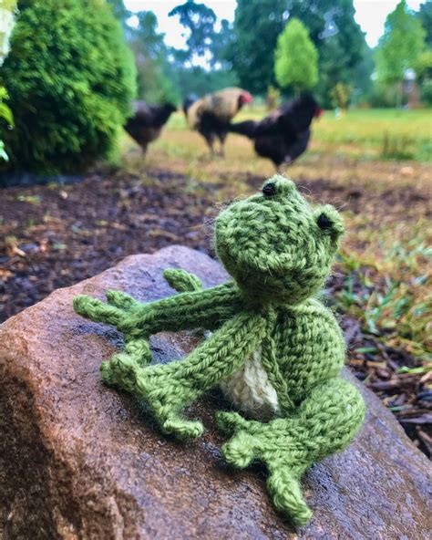 Knit Frog Free Pattern And Tutorial Quiet Life Farm