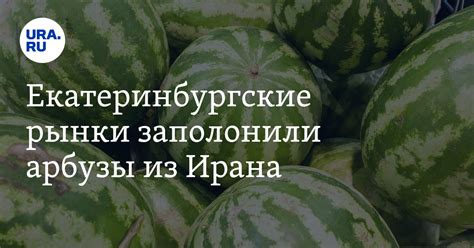 Екатеринбургские рынки заполонили арбузы из Ирана