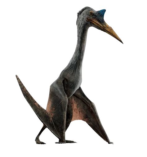 Quetzalcoatlus Jurassic Park Wiki Fandom