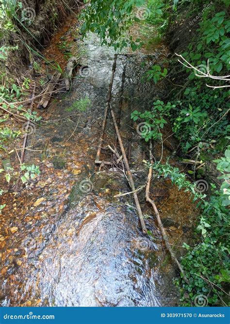 Section Of Collapsed Footbridge Handrail In River Stour Near Wimborne