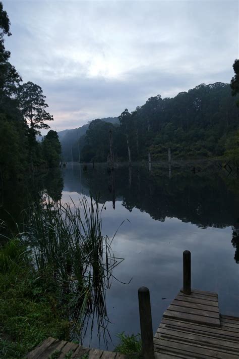 Lake Elizabeth Platypus Tour What To Expect