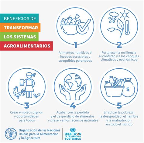 Fao México On Twitter 🔎 Conoce Los Beneficios De La Transformación De