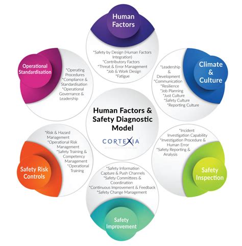 Operations Diagnostic Cortexia