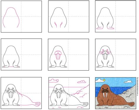 how to draw a walrus Walrus coloring pages printable kids drawing