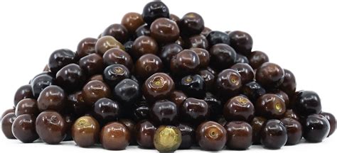 Capulin Cherries Information And Facts