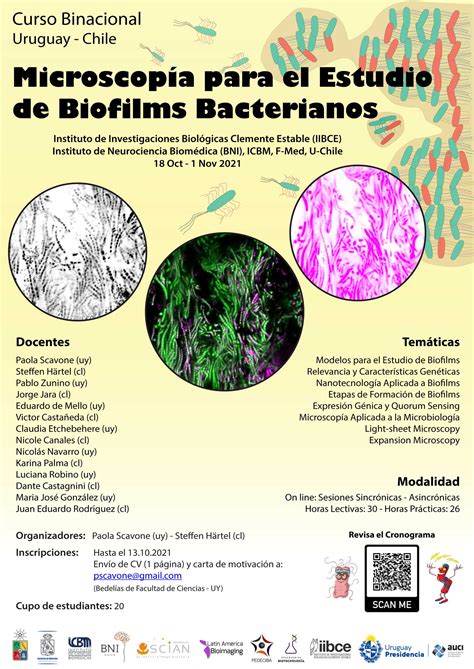 Microscopia Para El Estudio De Biofilms Bacterianos Sciancl