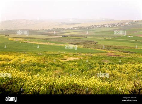Lower Galilee region, near Tiberias, Israel, Middle East Stock Photo ...