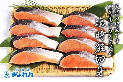 北海道ぎょれん 塩時鮭切身 60g×8切 ホクレン【jaタウン】産地直送 通販 お取り寄せ