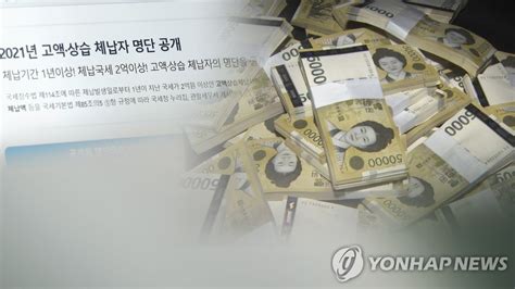 래퍼 도끼 세금 3억 체납고액·상습체납자 6천940명 명단공개 연합뉴스