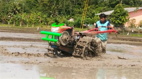 Terasa Berat Joki Muda Mengoperasikan Traktor Sawah Saat Bekerja Di