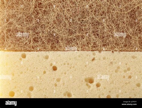 Agave Fiber Hi Res Stock Photography And Images Alamy