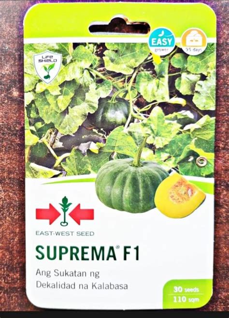 Suprema F Hybrid Calabasa Seeds Seeds East West Seeds Lazada Ph