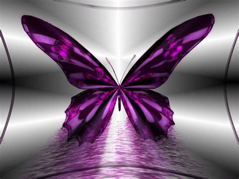 Black and Purple Butterfly Wallpapers - Top Free Black and Purple Butterfly Backgrounds ...