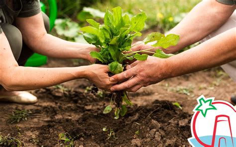 Ventajas de la agricultura ecológica Ecohuerta Níjar