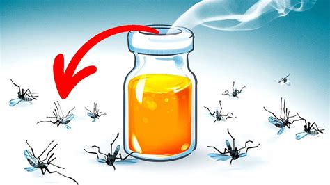 15 Natural Ways To Get Rid Of Mosquitoes In Your Yard