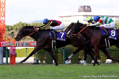 Stunning Rose Wins Shuka Sho Denies Stars On Earth Japans Filly