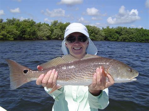 Guided Fishing Trips Indian River Lagoon Vero Beach FL