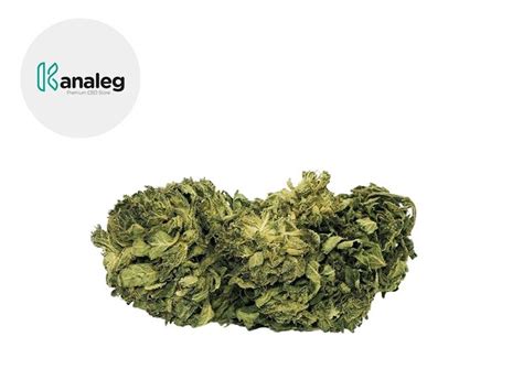 Amnesia Haze Cbd Kanaleg Cannanews Fr