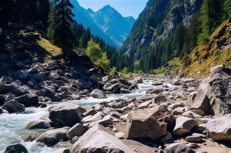 Premium Photo A River Running Through A Lush Green Forest Filled With