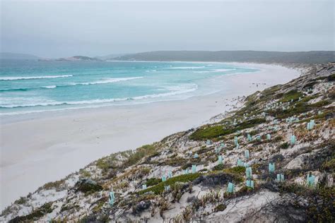 Amazing Beaches In Esperance Guide Jonny Melon