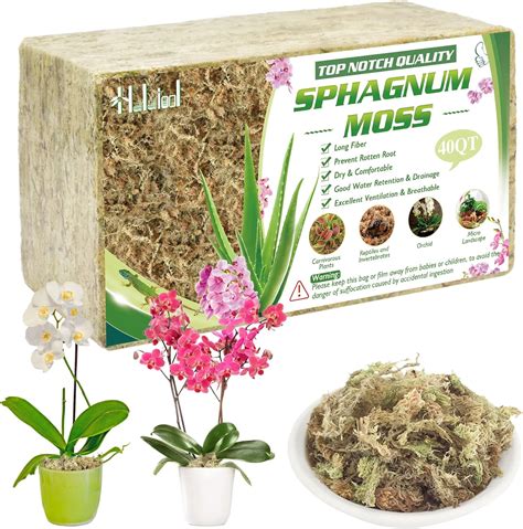 Amazon Halatool Compressed Sphagnum Moss Potting Mix For Plants