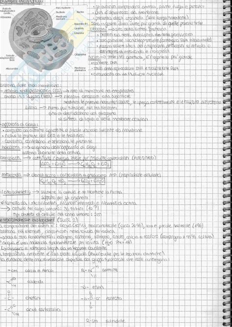 Biologia Della Cellula Appunti