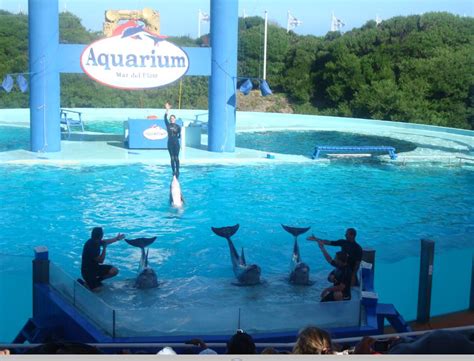 Visite Mar Del Plata: Mar Del Plata Aquarium