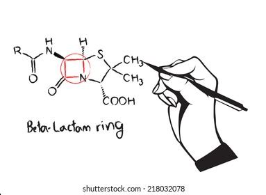 Beta Lactam Ring Penicillin Chemical Structure Stock Vector Royalty