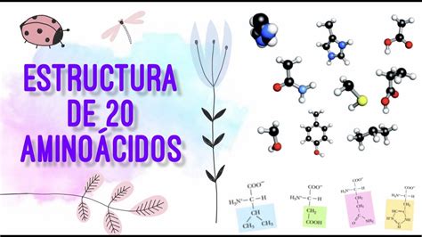 Clasificación de los aminoácidos según su cadena lateral R YouTube