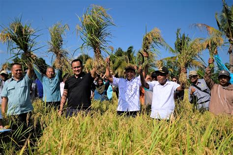 Cerita Petani Organik Binaan Pt Vale Kali Panen Hasil Makin