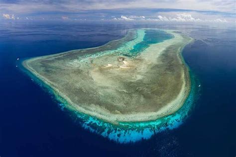 tubbataha reef palawan philippines » Shellwanders