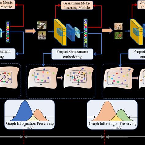 Grassmann Manifold And Information Entropy For Few Shot Class Download Scientific Diagram